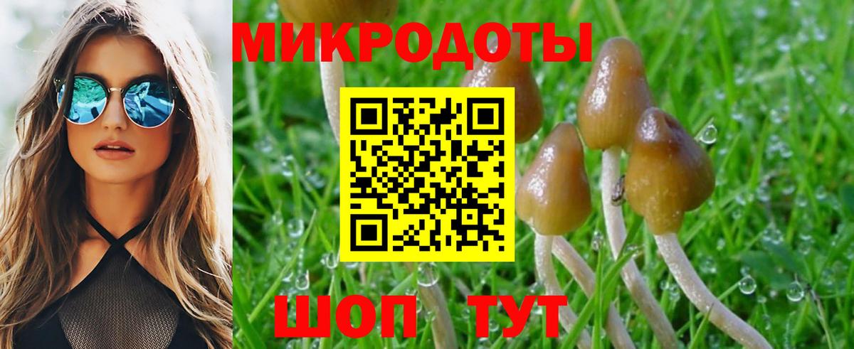 Галлюциногенные грибы прущие грибы Феодосия